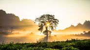 Prognoza meteo ANM, 17 august - 12 septembrie 2022. Specialiștii anunță un început de toamnă cu temperaturi de vară
