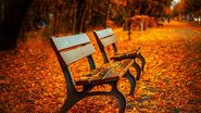 Prognoza meteo ANM, 17 august - 12 septembrie 2022. Specialiștii anunță un început de toamnă cu temperaturi de vară