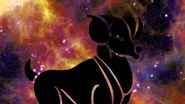 Top cinci zodii care ar renunța la tot pentru dragoste. Nativii lasă în urmă bani, familie și averi în numele iubirii