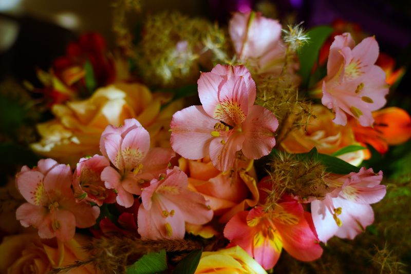 Mesaje de La Mulți Ani de Sf&acirc;ntul Alexandru