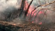 Corupția bate încălzirea globală. Cum a ajuns România să fie pe locul al doilea în UE la incendii de vegetație