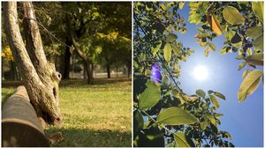 Prognoza meteo ANM, 23 august - 11 septembrie 2022. Vremea în următoarele trei săptămâni. Ce temperaturi ne așteaptă la început de septembrie 2022