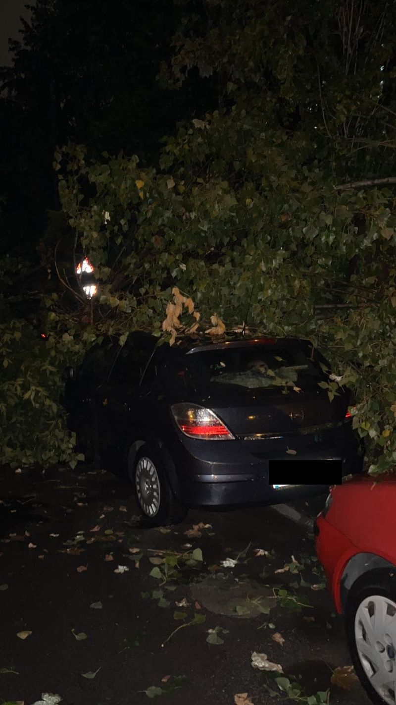 Cod portocaliu vijelii Capitală