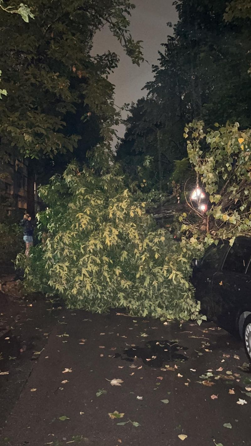 Copaci doborâți de vânt zona Brâncoveanu