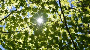 Prognoza meteo ANM, 29 august - 4 septembrie 2022. Cum va fi vremea în primele zile de toamnă 2022