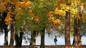 Orașul din România în care se află cel mai mare parc din țară. Colțul de natură are peste 100 de hectare