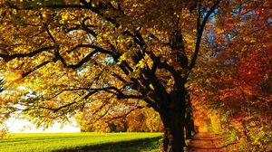 Prognoza meteo ANM, 1 - 3 septembrie 2022. Ce temperaturi se vor înregistra în primele zile de toamnă. Specialiștii anunță ploi și valori termice în scădere