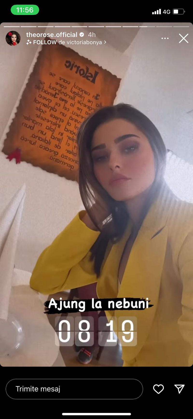 „Ajung la nebuni” Theo Rose, pe punctul de a claca Ce s-a întâmplat, de fapt, cu artista