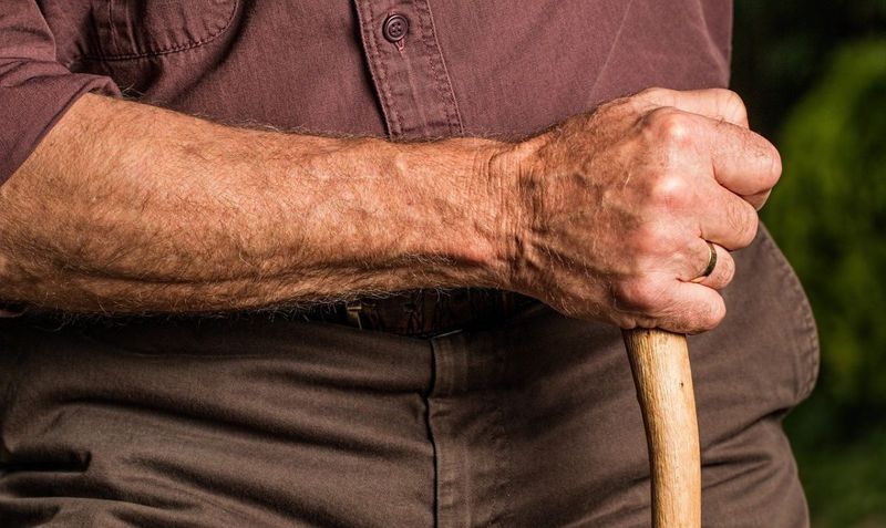 pensionari