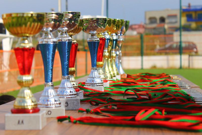premii pentru elevii romani olimpici