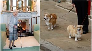 regina elisabeta, inmormantare regina elisabeta, corgi regina elisabeta 
