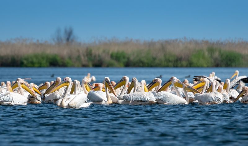 Prognoza meteo ANM, joi, 22 septembrie 2022