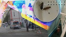Situație halucinantă la Spitalul din Dorohoi! Gândacii și mizeria sunt la ordinea zilei, iar managerul știe aceste lucruri: „Nu putem fi ipocriţi să prezentăm tot felul de scuze”