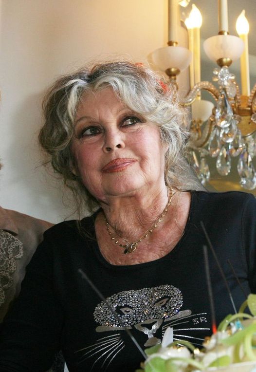 Vârsta e doar un număr. Brigitte Bardot a împlinit 88 de ani și continuă să emane frumusețe