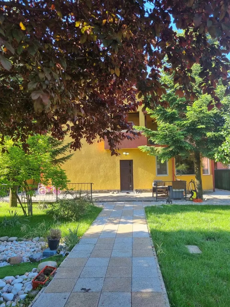 Oana Roman casă de v&acirc;nzare