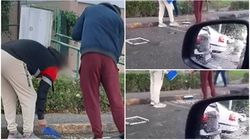 Doi tineri care scuipau semințe pe străzile din Pitești au primit o pedeapsă inedită de la polițiștii locali. Bărbații „s-au împrietenit” cu mătura și fărașul