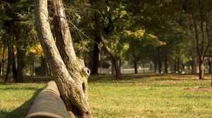 Prognoza meteo ANM, 30 septembrie - 2 octombrie 2022. Vremea în primul weekend din luna octombrie. Se răcește considerabil în toată țara