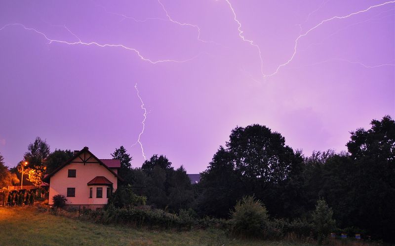 Tragedie în județul Bihor! Un bărbat a murit, după ce a fost lovit de trăsnet, în timp ce culegea ciuperci în pădurea Lunca