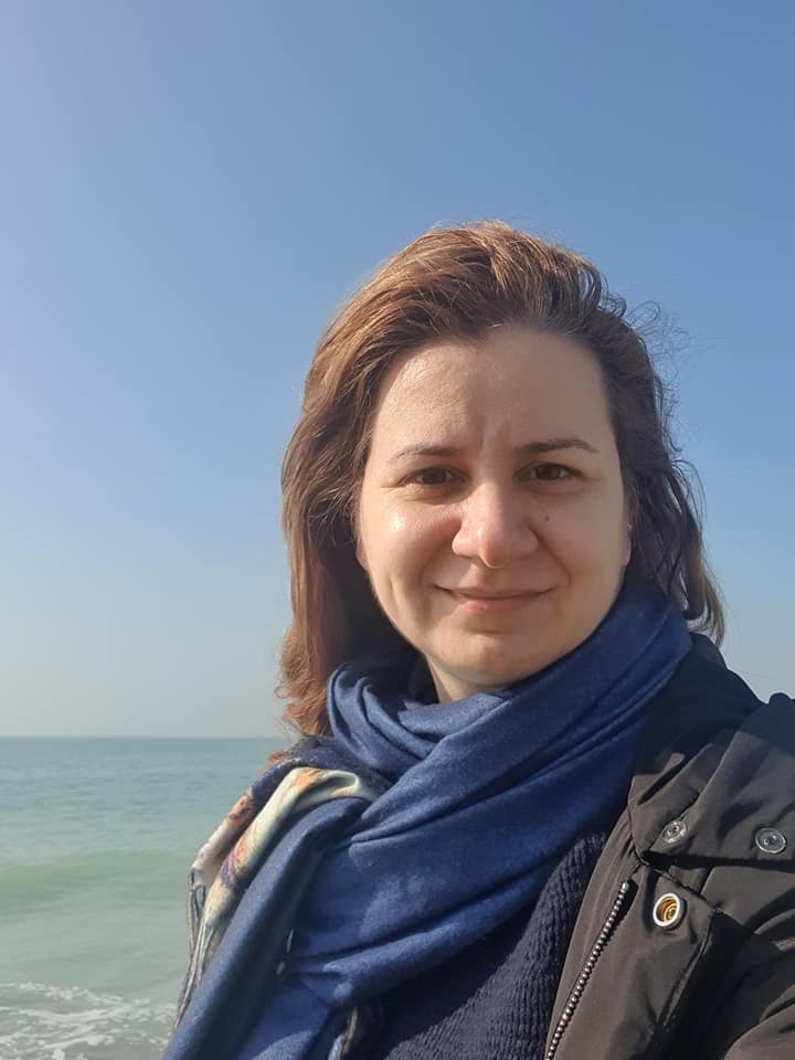 Ligia Deca este noul ministru al Educației cine e ligia deca