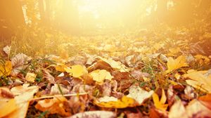 Prognoza meteo ANM, joi, 6 octombrie 2022. Vezi cum va fi vremea în fiecare regiune a țării