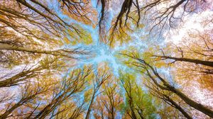 Prognoza meteo ANM, 7 - 9 octombrie 2022. Sfârșitul de săptămână aduce temperaturi calde la nivelul întregii țări