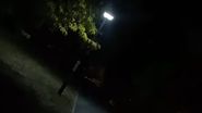 Delia incident Parc Herăstrău