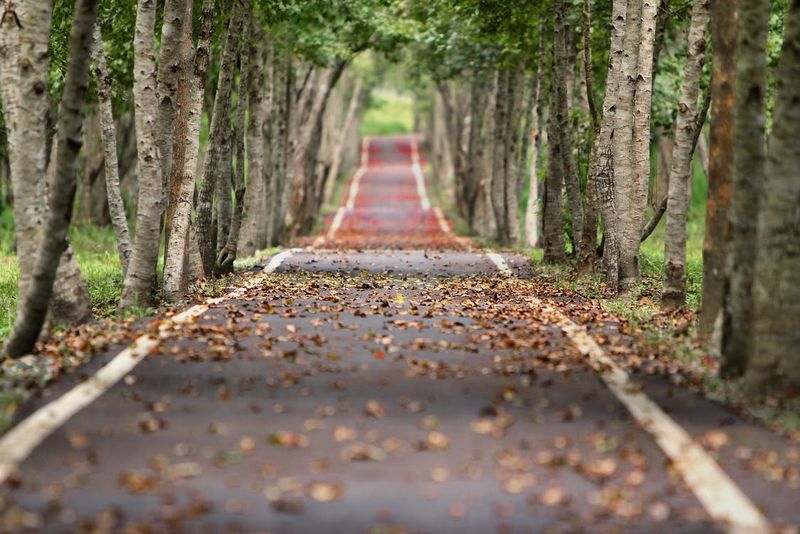 Prognoza meteo ANM, luni, 17 octombrie 2022. Află cum va fi vremea în fiecare regiune a țării