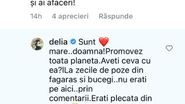 delia, fani, vacante, declaratii, criticata