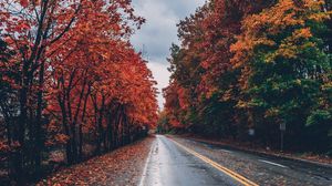 Prognoza meteo ANM, joi, 20 octombrie 2022. Află ce temperaturi sunt așteptate în fiecare regiune a țării