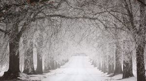 iarna, temperaturi, frig, zăpadă, temperaturi scăzute, vreme