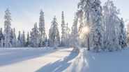 cand va ninge in romania