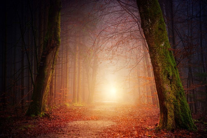 horoscop noiembrie 2022