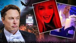 Petrecerea de milionari de la Castelul Bran, perturbată din primele ore! Ce și-au dorit românii să știe Elon Musk și Angelina Jolie | EXCLUSIV