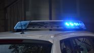 Polițist Dej mort