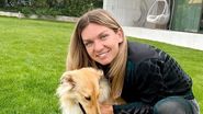 Simona Halep audiere scandal dopaj