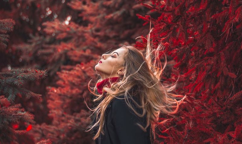 zodia vedeta a zilei