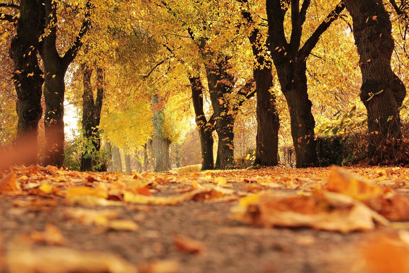  Prognoza meteo ANM, 4-6 noiembrie 2022. Află cum va fi vremea în weekend
