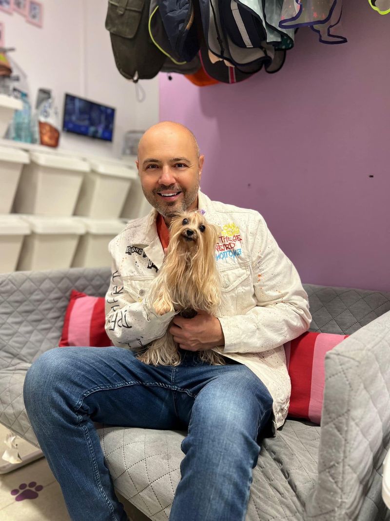 Mihai Mitoșeru mihai mitoseru