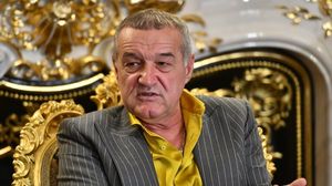 Gigi Becali, prădat de hoți! Tâlharii l-au lăsat fără oi pe latifundiarul din Pipera
