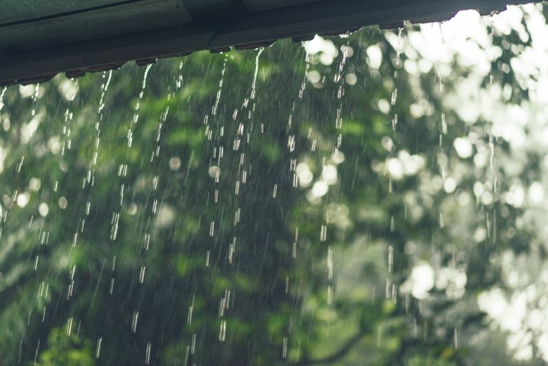 Prognoza meteo ANM, 14-16 noiembrie 2022. Află cum va fi vremea în prima parte a săptămânii