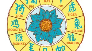 Horoscop Chinezesc 16 noiembrie 2022.  Horoscop Chinezesc 16 noiembrie 2022.