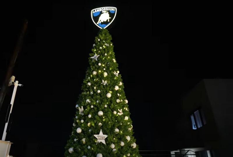 Bradul de Crăciun din curtea lui Dorian Popa