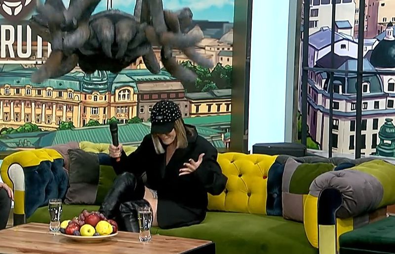 Adela Popescu, moment de panică maximă într-o emisiune TV. Vedeta nu a știut cum să reacționeze când a văzut ce se apropie de ea