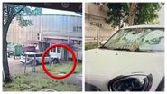 Mirela Vaida mașină vandalizată