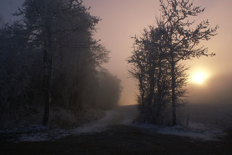 Prognoza meteo ANM, 25-27 noiembrie 2022. Află unde va ninge în România în weekend