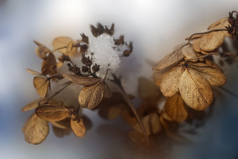 Prognoza meteo ANM, 25-27 noiembrie 2022. Află unde va ninge în România în weekend
