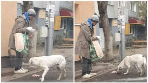 suceava, lectie de viata, om sarman, animalute, bunatate