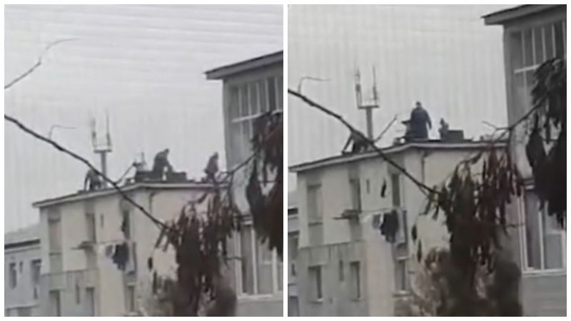 baia mare, porc, pomana porcului, situatie inedita, improvizatie