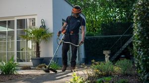 Ce presupune pregătirea pentru a avea o grădină