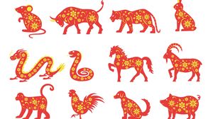 Horoscop chinezesc 12 decembrie. Află ce îți rezervă astrele pentru început de săptămână